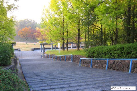 Steps down to the park
