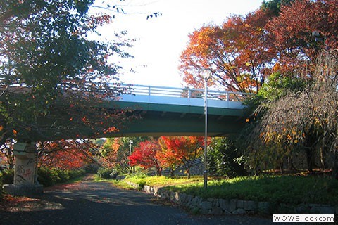 Bridge over path in Kyoto