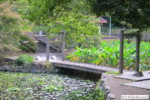 yamadaike bridge across pond