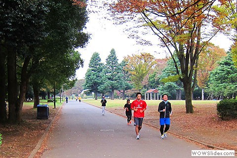 Runners in Yoyogi Koen