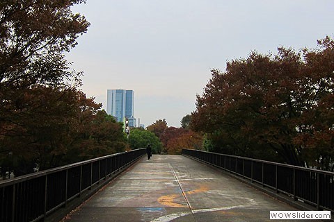 Walker crosses the bridge leading out of Yoyogi Koen