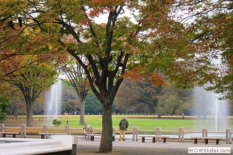 Fountains of Yoyogi Koen in the morning