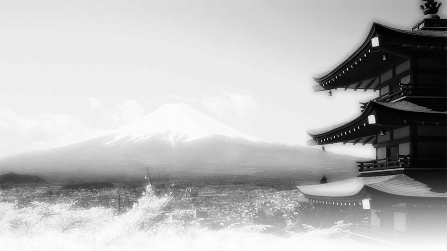 Mt. Fuji A Sharp View
