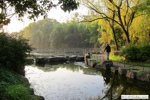 Shady Daijiagaike Park