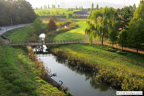 small river winds through park