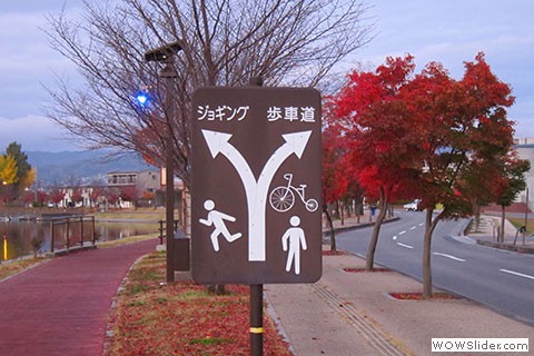 Split path for runners and bikers