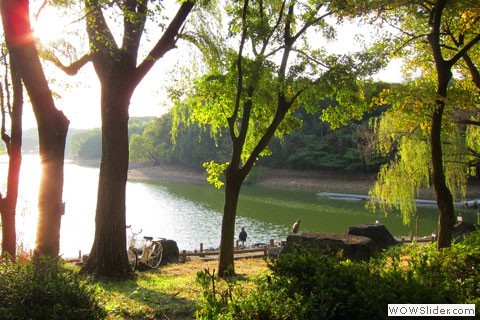 Light across pond with firshman