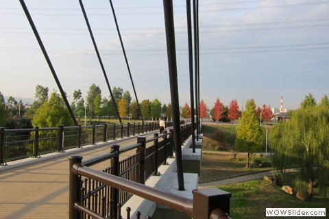 suspended bridge crosses pond
