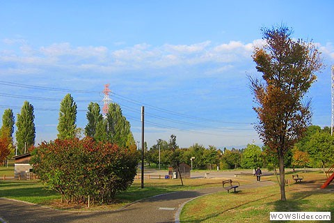 yamadaike park with benches
