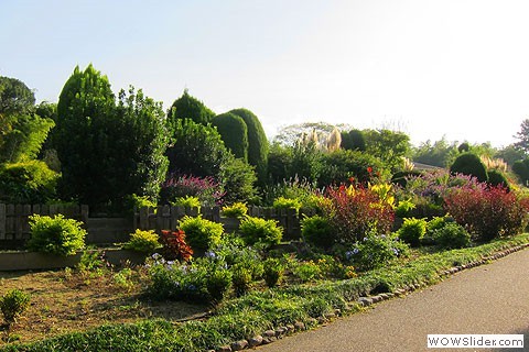 yamadaike flowers and bushes
