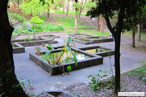 yamadaike small ponds