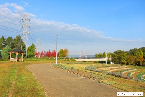 yamadaike path and gazebo