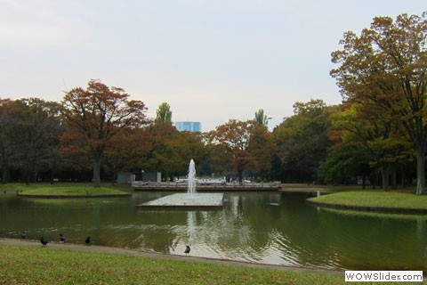 Center of Yoyogi Koen view from a bridge