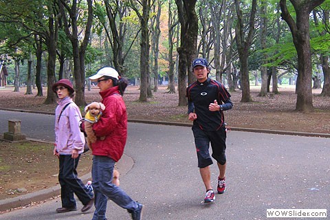 Runner and walkers with dog