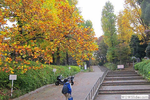 Rear entrance to Yoyogi Park