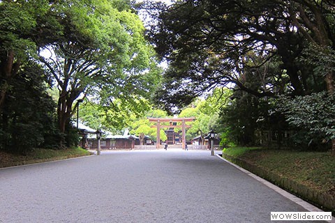 Shady running path in the park